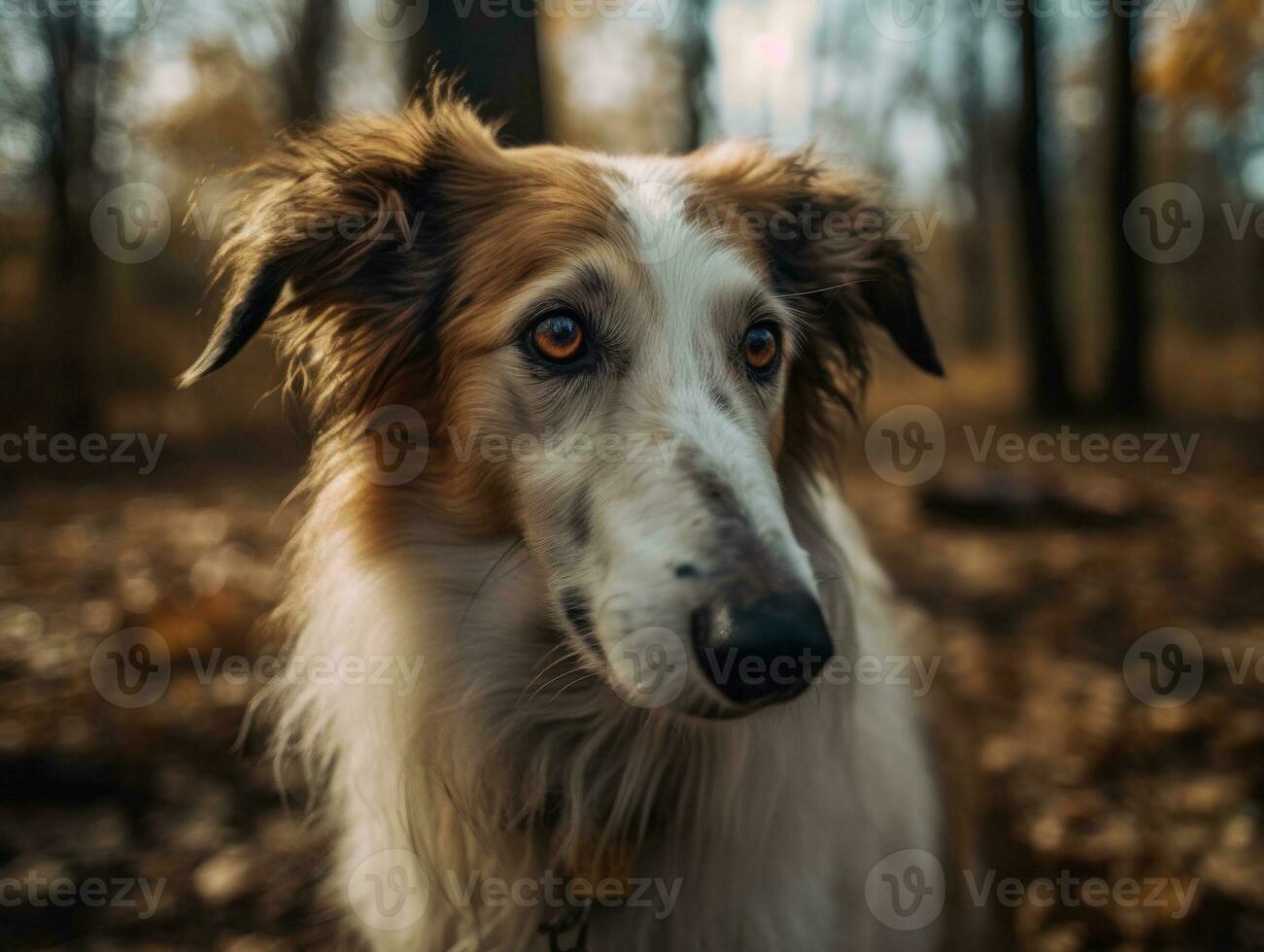 Borzoi dog created with Generative AI technology photo