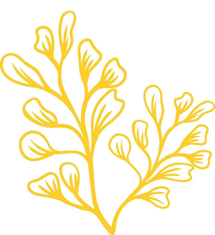 Hand drawn floral botanical icon vector
