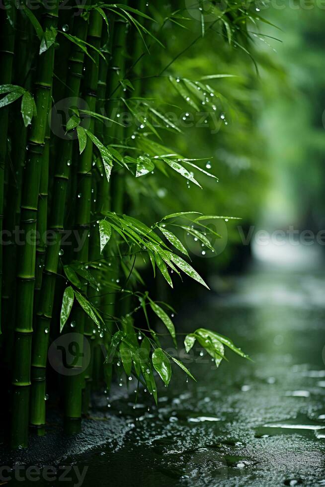 Foggy and rainy, bamboo forest. AI generative photo