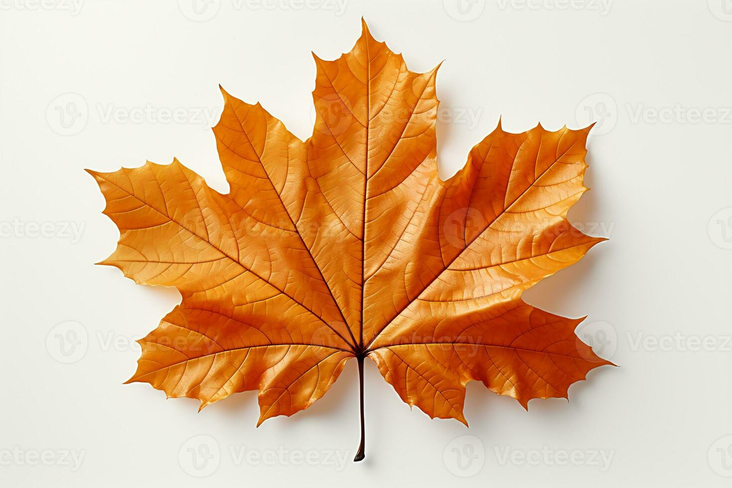 Autumn colored fall leaf isolated on transparent background overlay texture. AI generative photo
