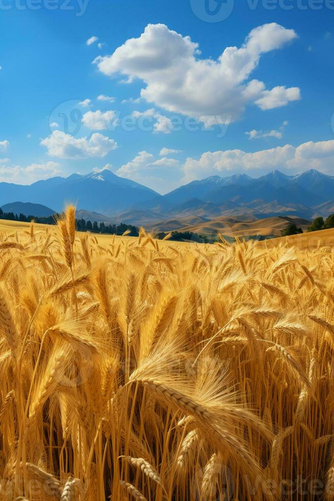 Clear sky, rolling mountains, golden wheat fields. AI generative photo