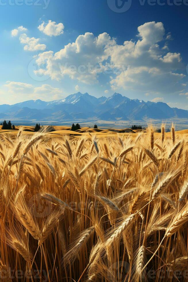 claro cielo, laminación montañas, dorado trigo campos. ai generativo foto