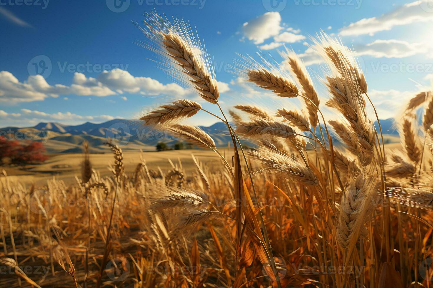 A golden wheat field, rice swaying in the wind, paramount light, Surrealism. AI generative photo