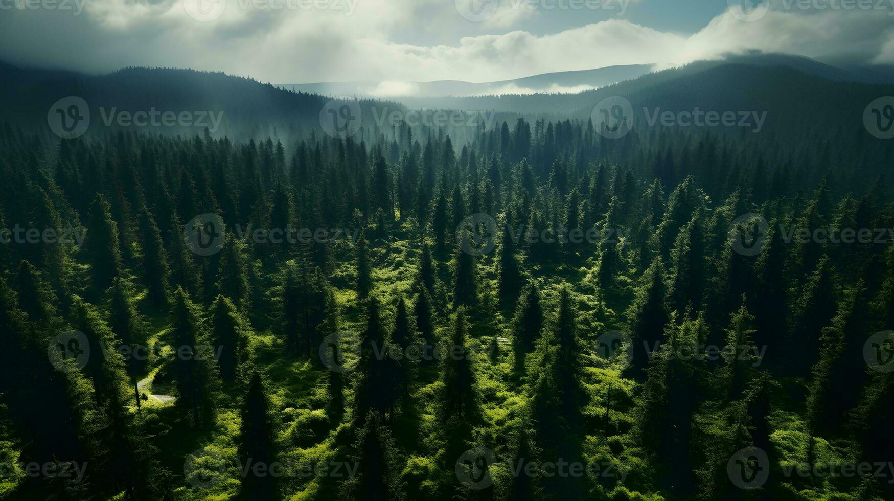 Forest Canopy Seen from Top - Generated AI Aerial Capture photo