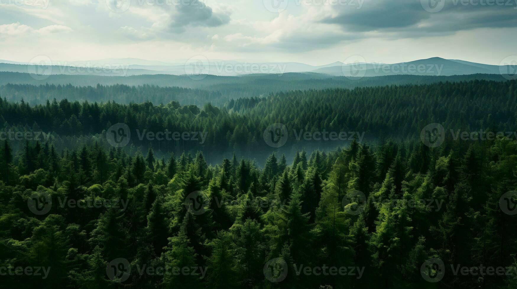 Overhead Sunlit Forest Landscape - Generated AI Capture photo