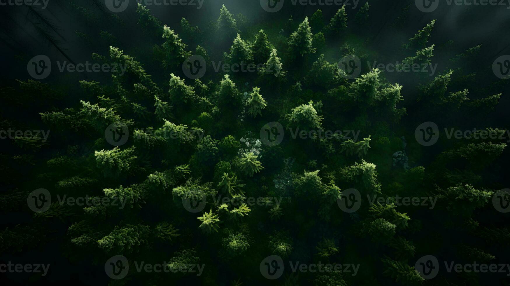 Aerial Day Forest Composition - Generated AI Landscape photo