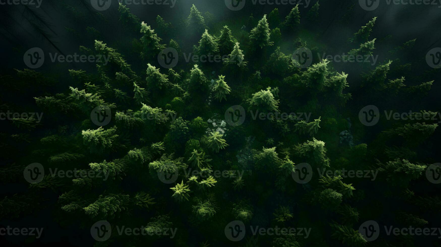 Aerial Day Forest Composition - Generated AI Landscape photo