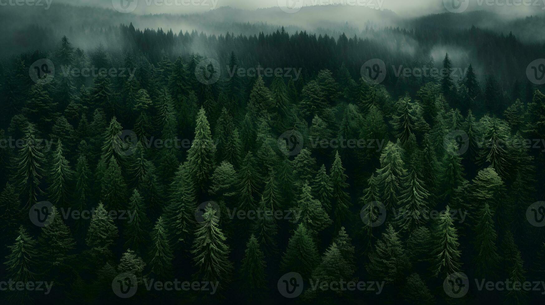 Daytime Forest Tapestry - Generated AI Aerial Capture photo