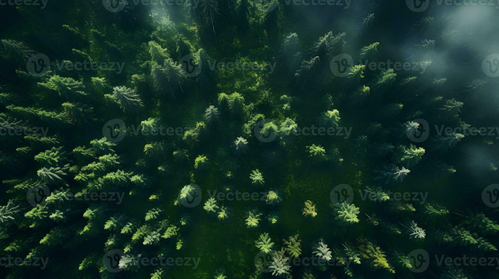 Daytime Forest Seen from Above - Generated AI Aerial View photo