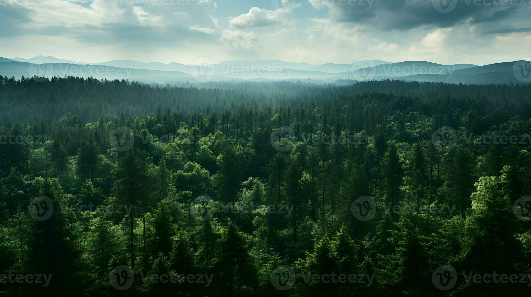 Forest Canopy from Above - Generated AI Photography photo