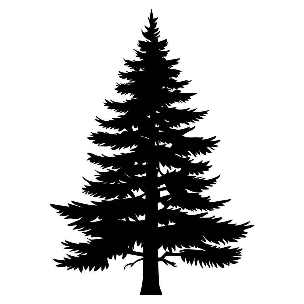 Pine or Fir tree silhouette. Vector illustration