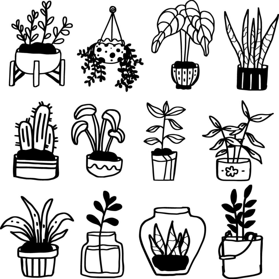 hand drawn plant in pot line design vector