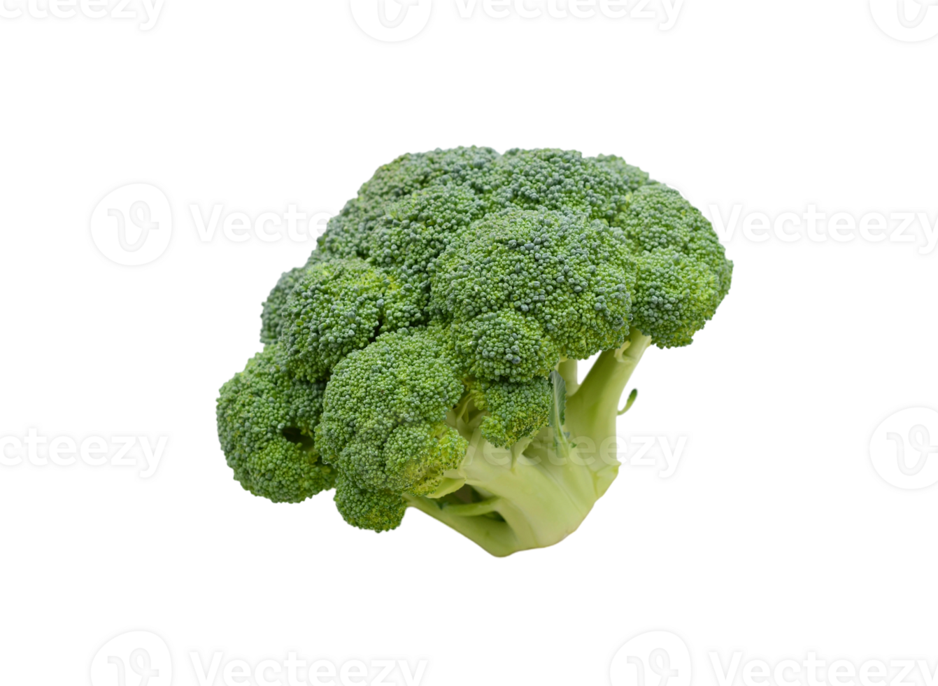 Broccoli png transparent background