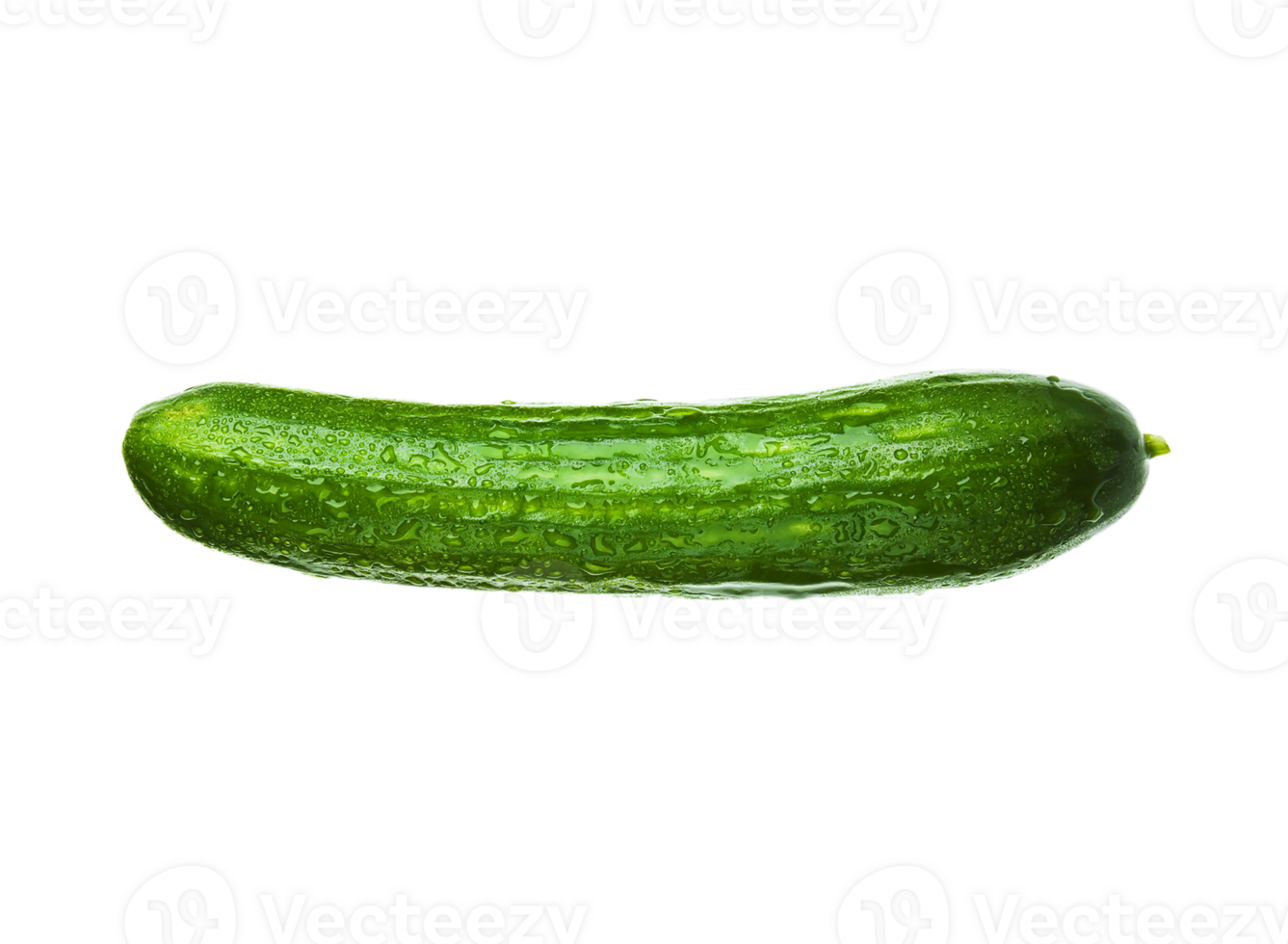 cucumber png transparent background