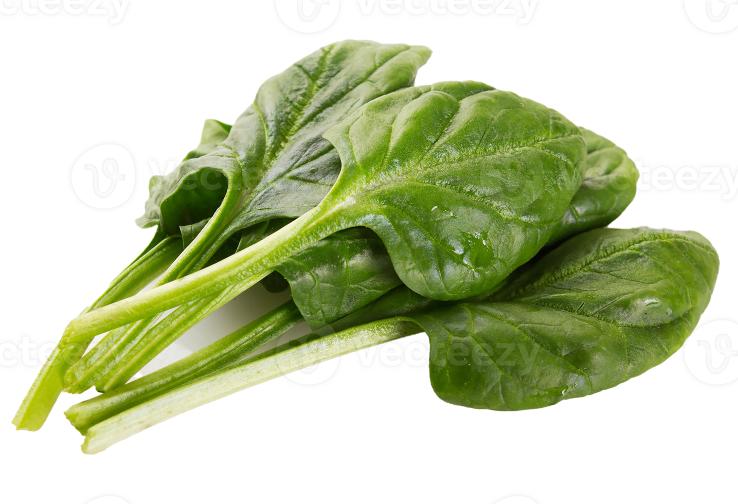 spinach png transparent background