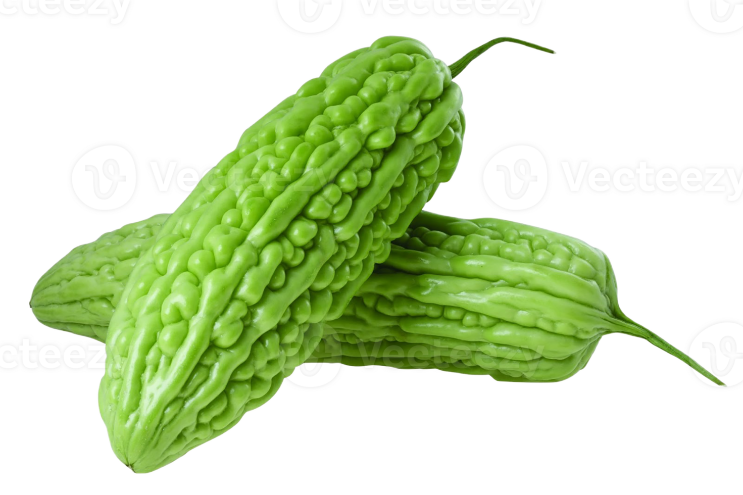 Bitter gourd png transparent background