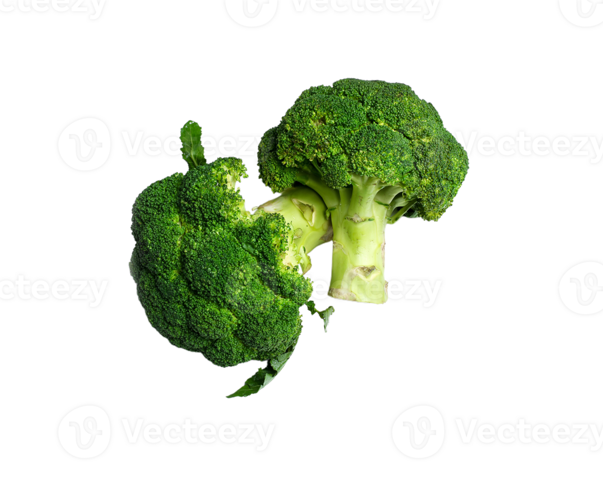 Broccoli png transparent background
