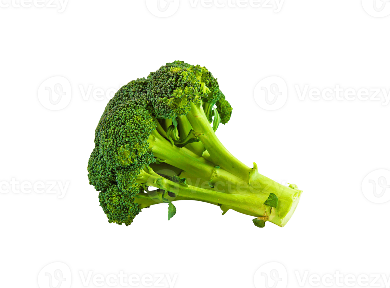 Broccoli png transparent background 29711332 PNG