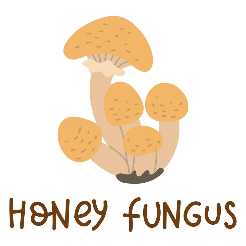 Colorful wild edible honey fungus with cartoon-style names. Isolated vector flat illustration. Honeydew mushroom. Edible mushrooms in forests in groups of large and small with beige caps, growing