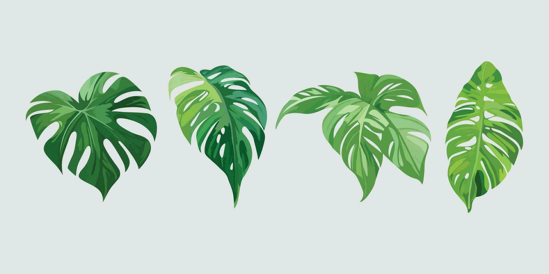 House plants in pots, icon set of tree, garden plant vector