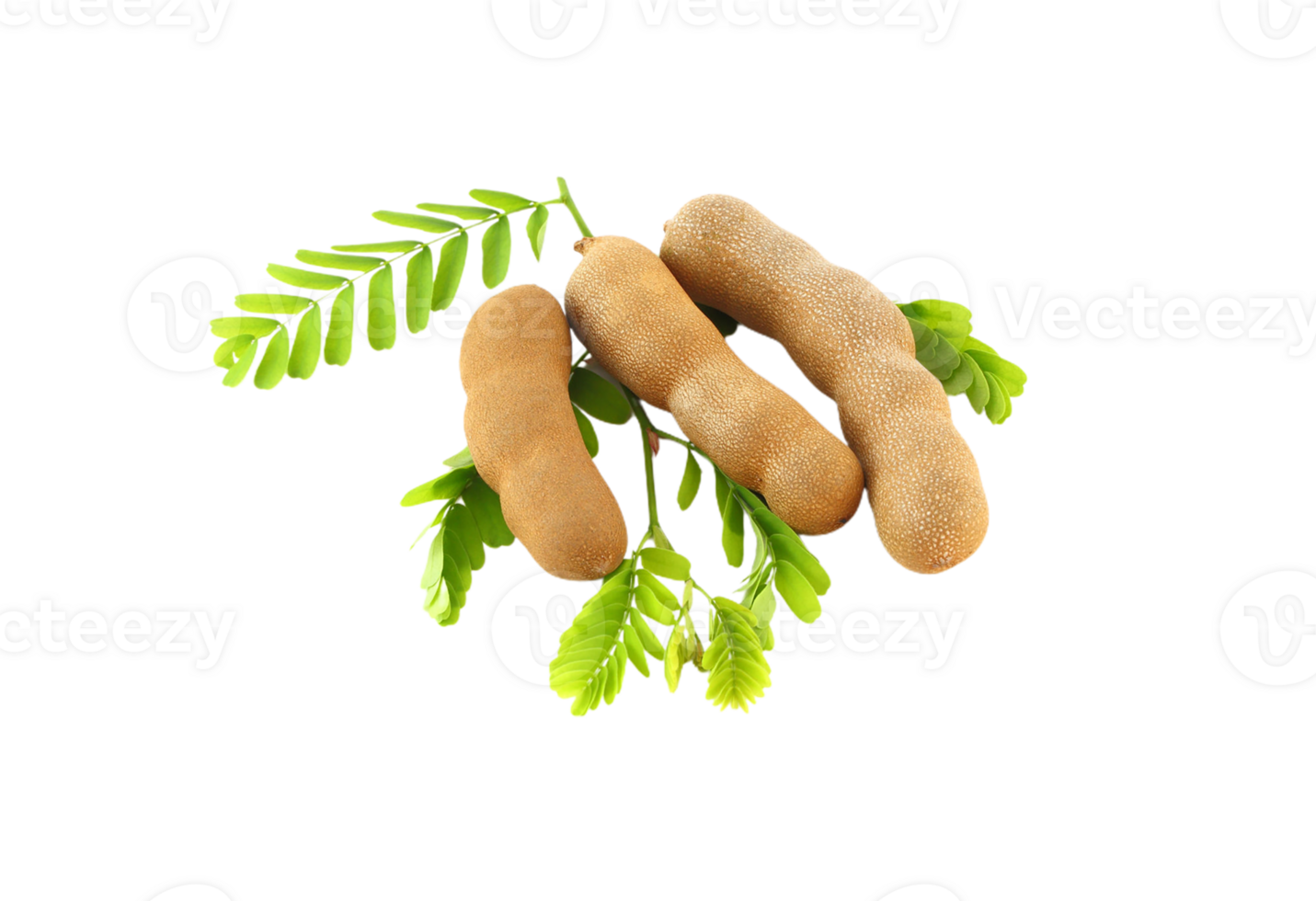 Tamarind png transparent background