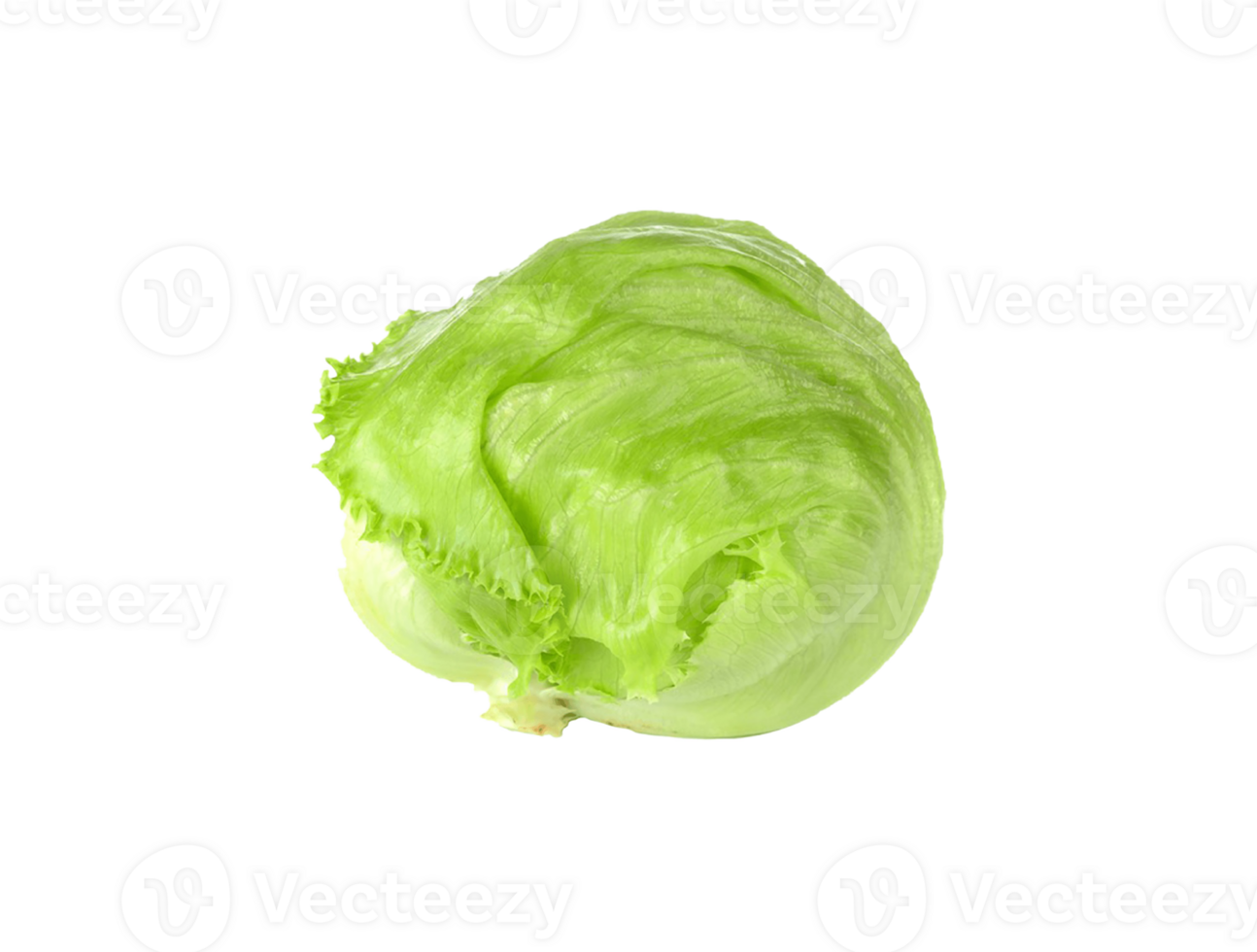 cabbage png transparent background