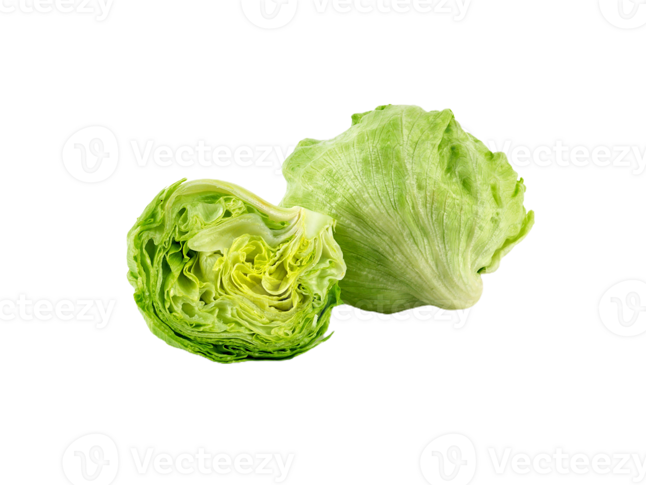 cabbage png transparent background