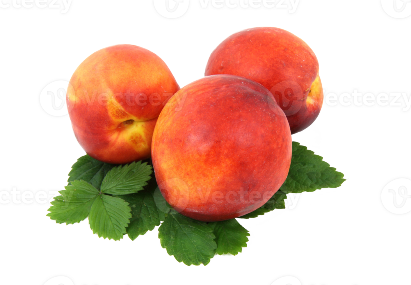 peach png transparent background
