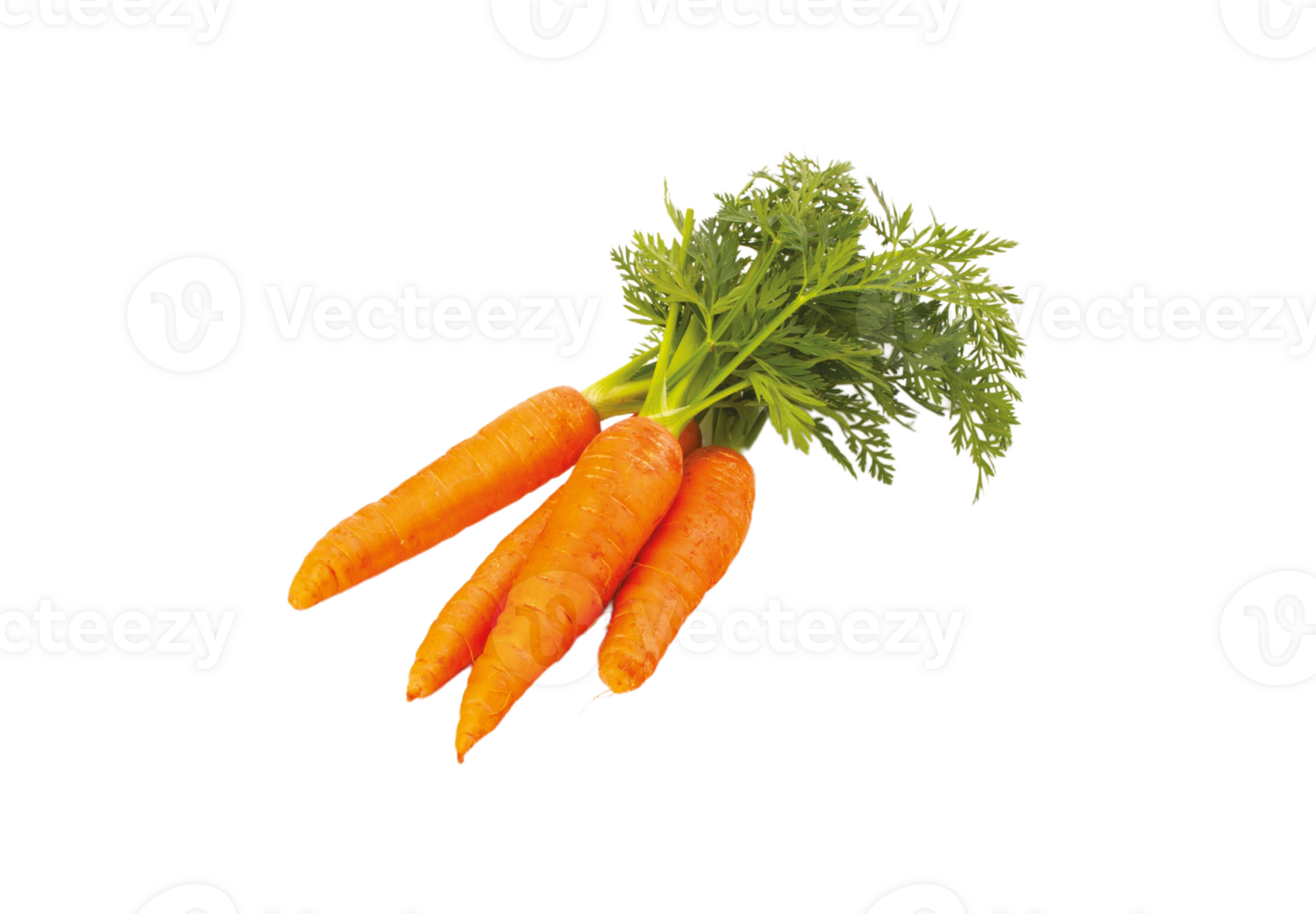 carrot png transparent background 29711821 PNG