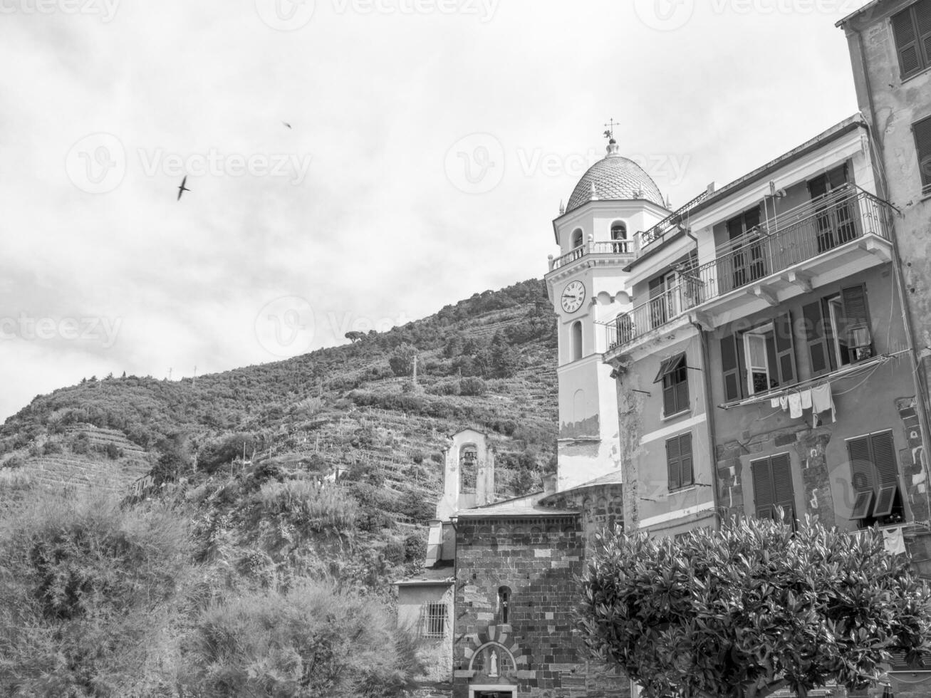 the cinque terre in tialy photo