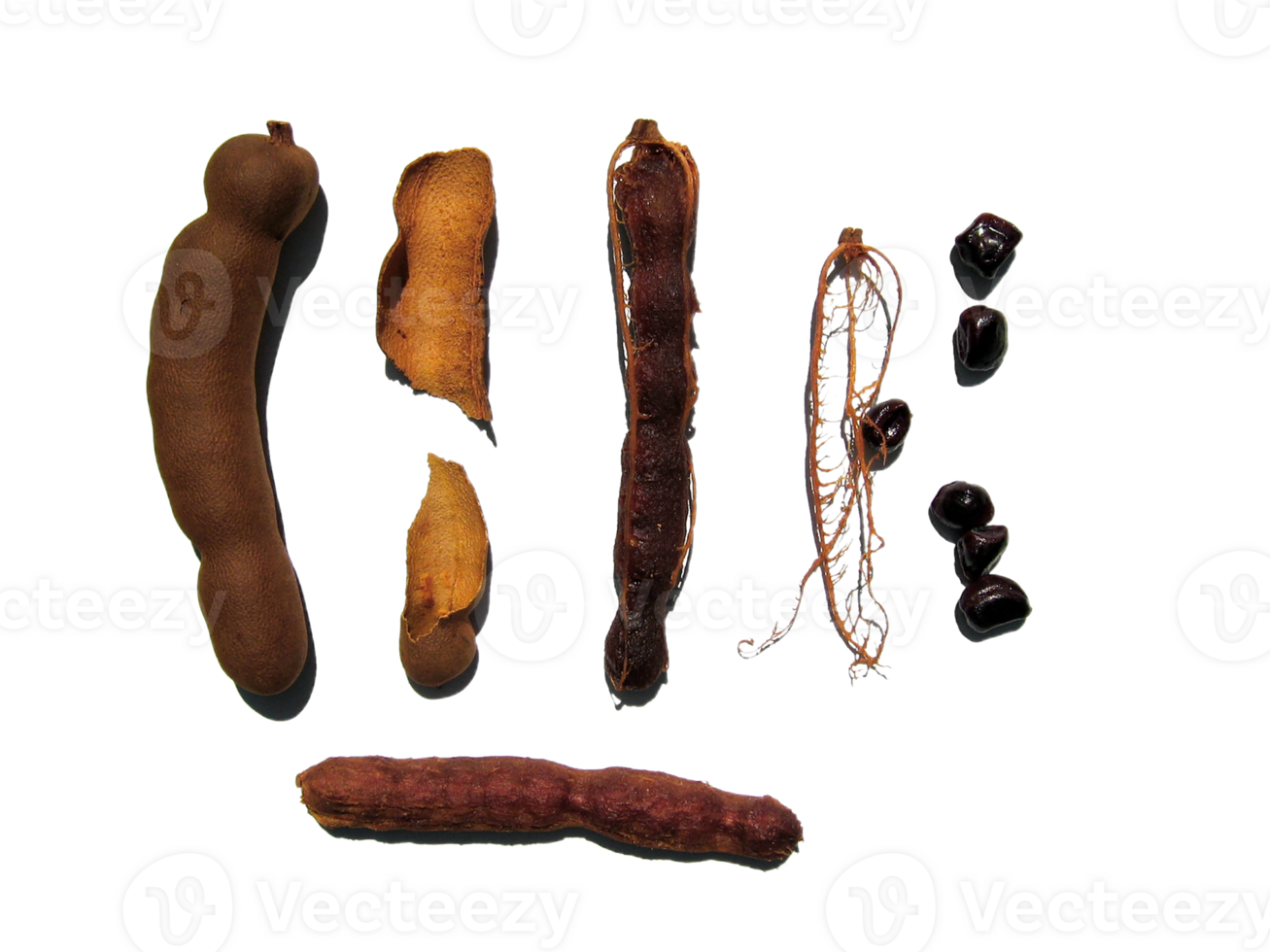 Tamarind png transparent background