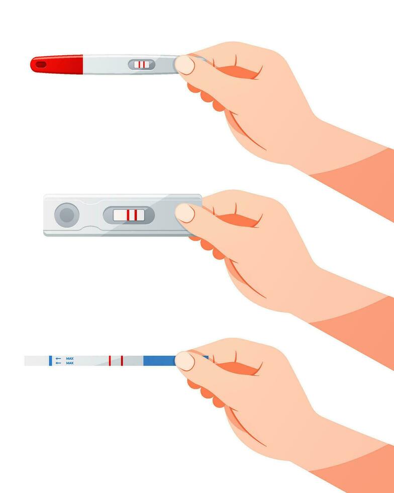 Hand holding a pregnancy test kit vector. Positive pregnancy test result. vector