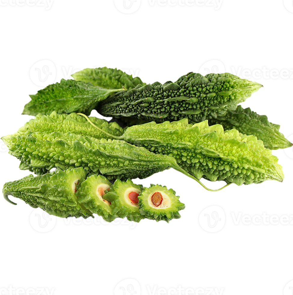 Bitter gourd png transparent background