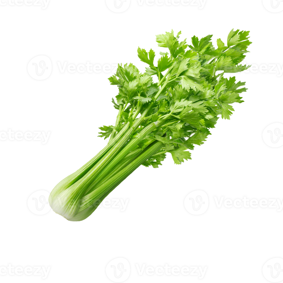 celery png transparent background 29712153 PNG