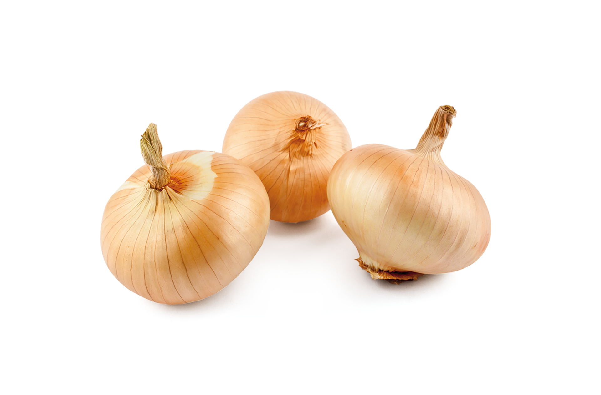 Zwiebel png transparent Hintergrund 29712274 PNG