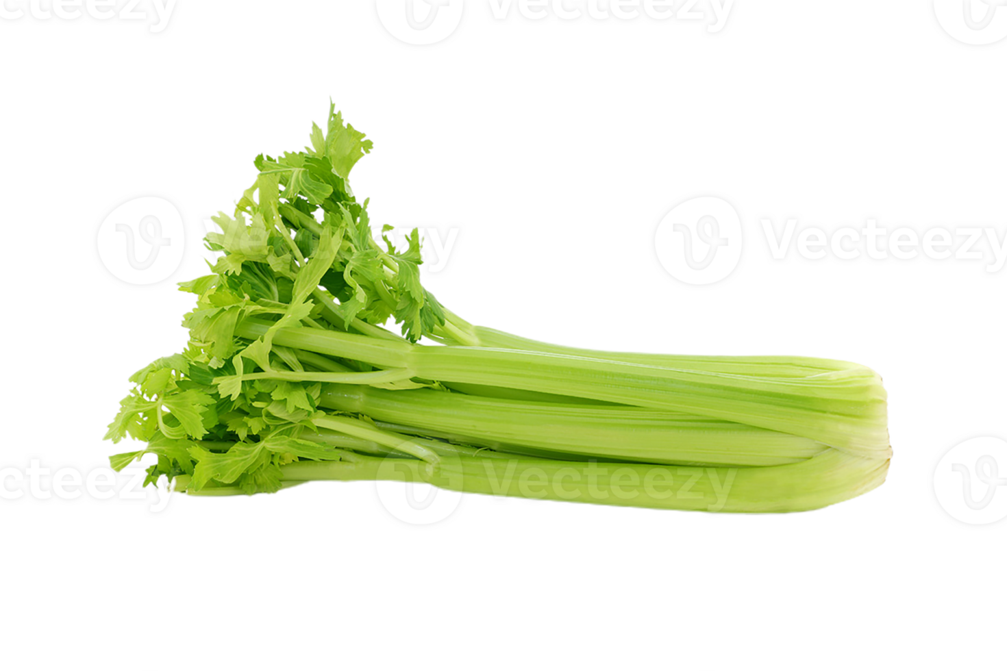 celery png transparent background 29712476 PNG