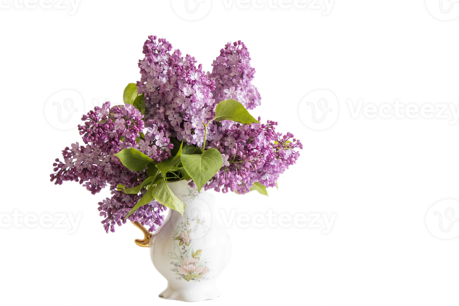 Lilac flower png transparent background