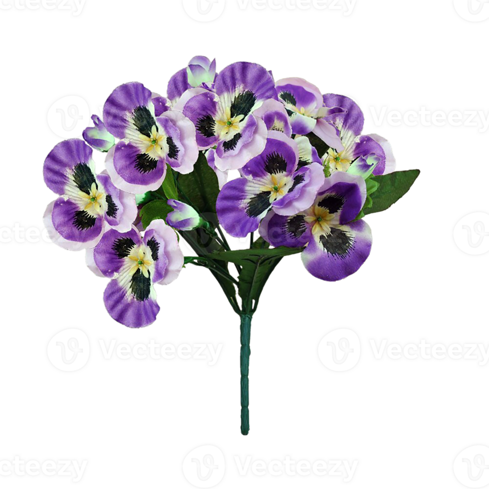 viola flor png transparente antecedentes