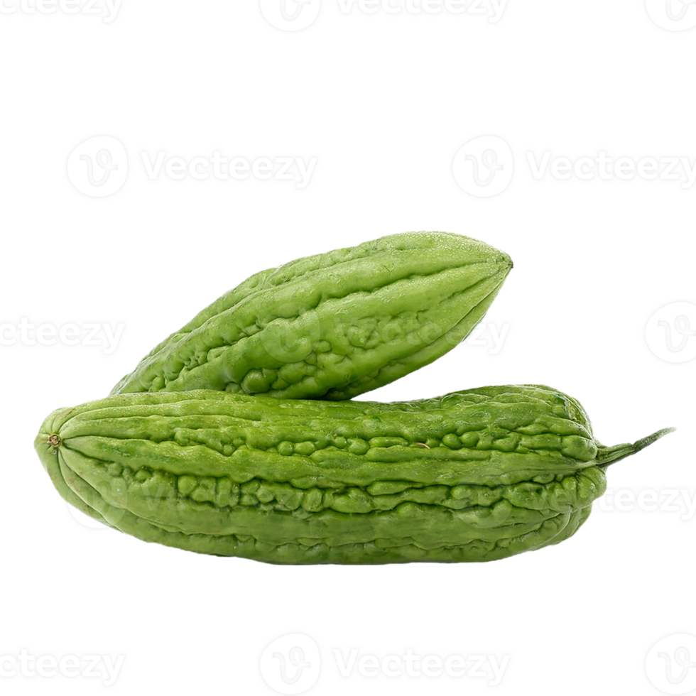 Bitter gourd png transparent background