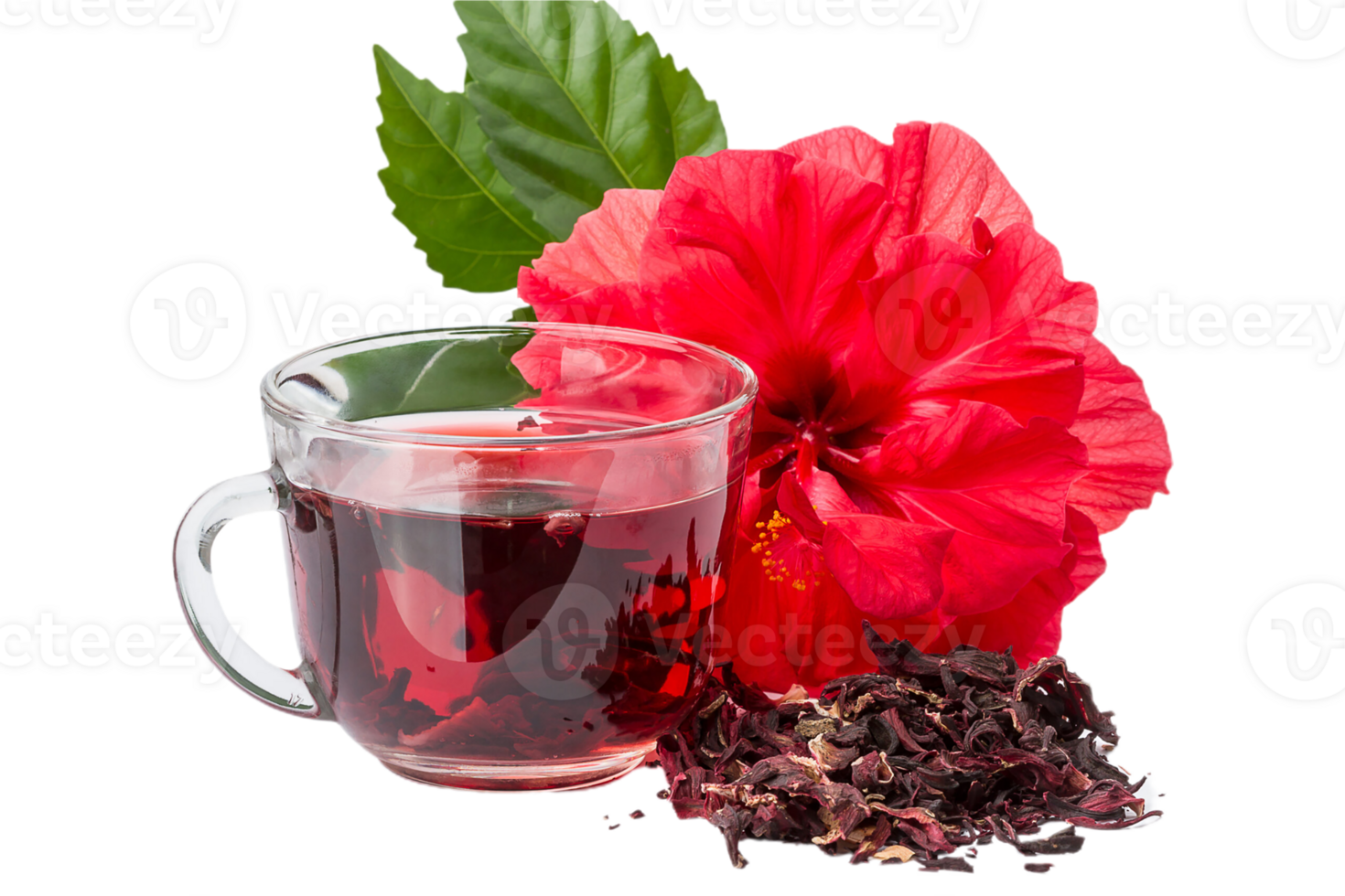 Hibiscus flower png transparent background