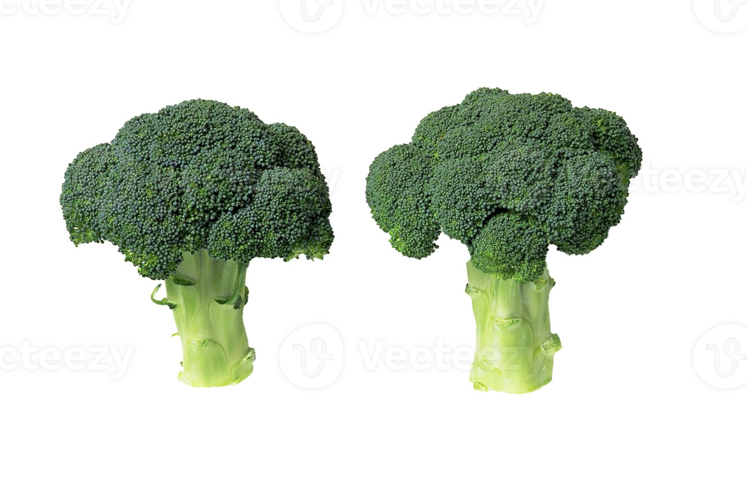 Broccoli png transparent background