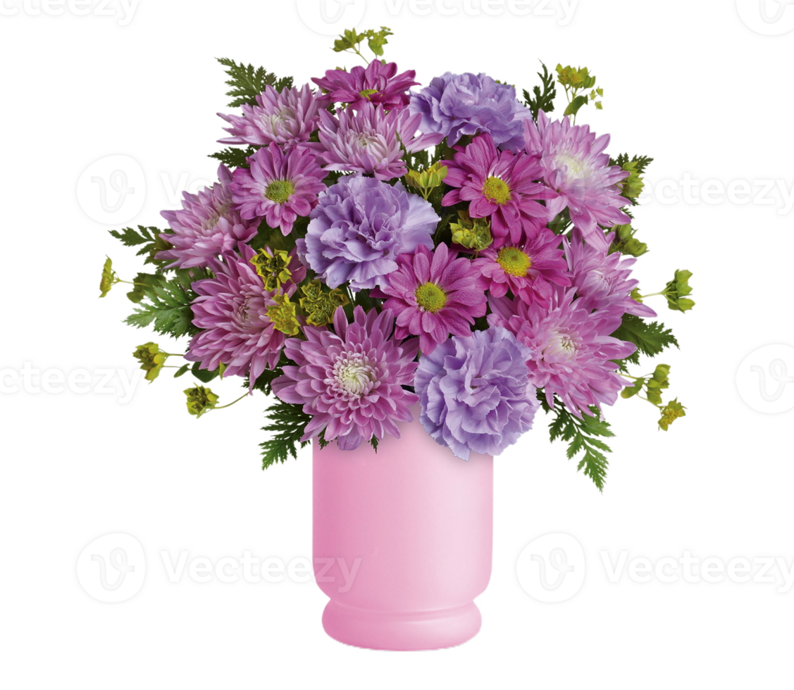Chrysanthemum flower png transparent background