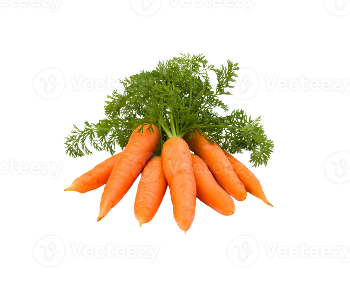 carrot png transparent background
