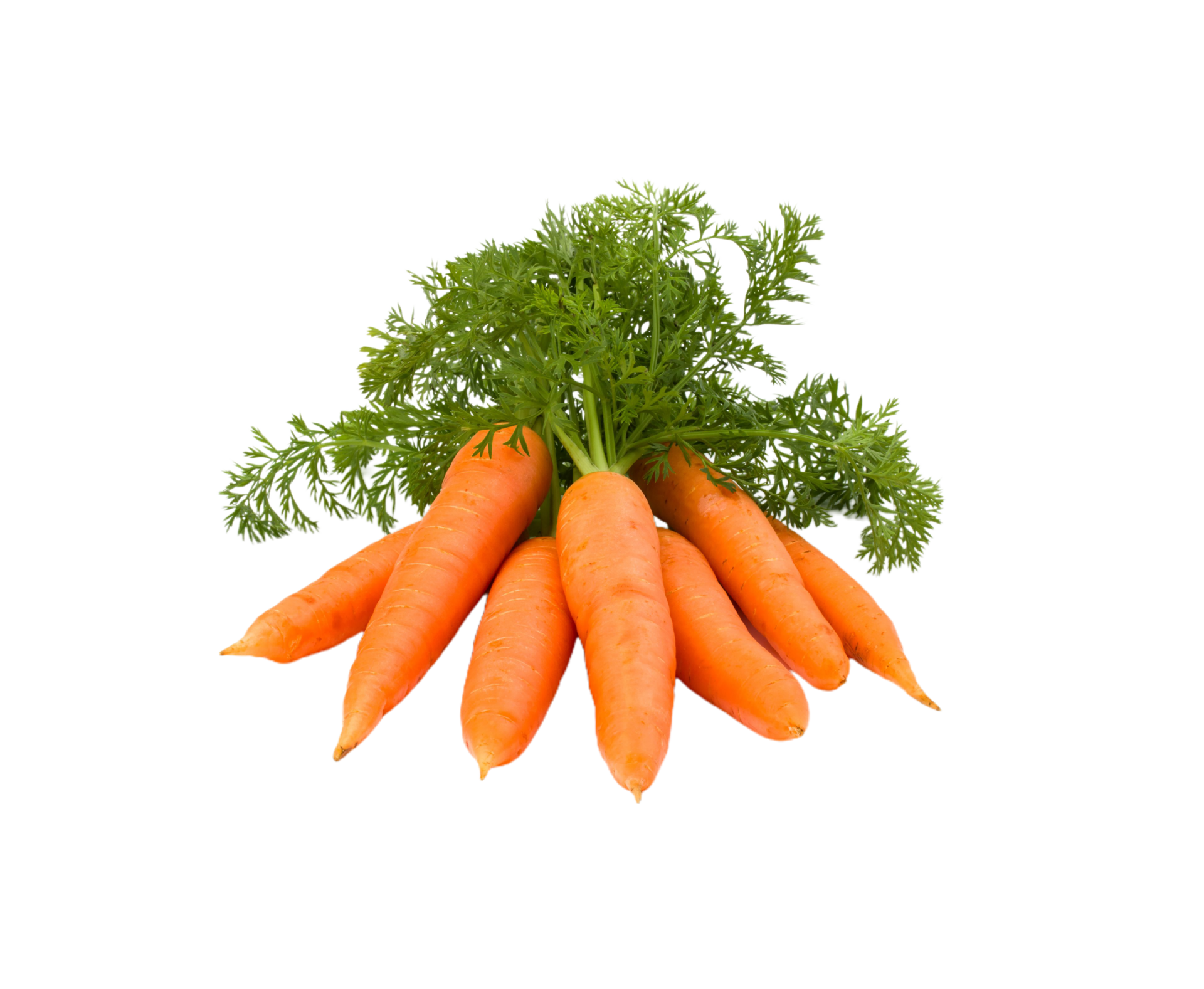 carrot png transparent background 29712741 PNG