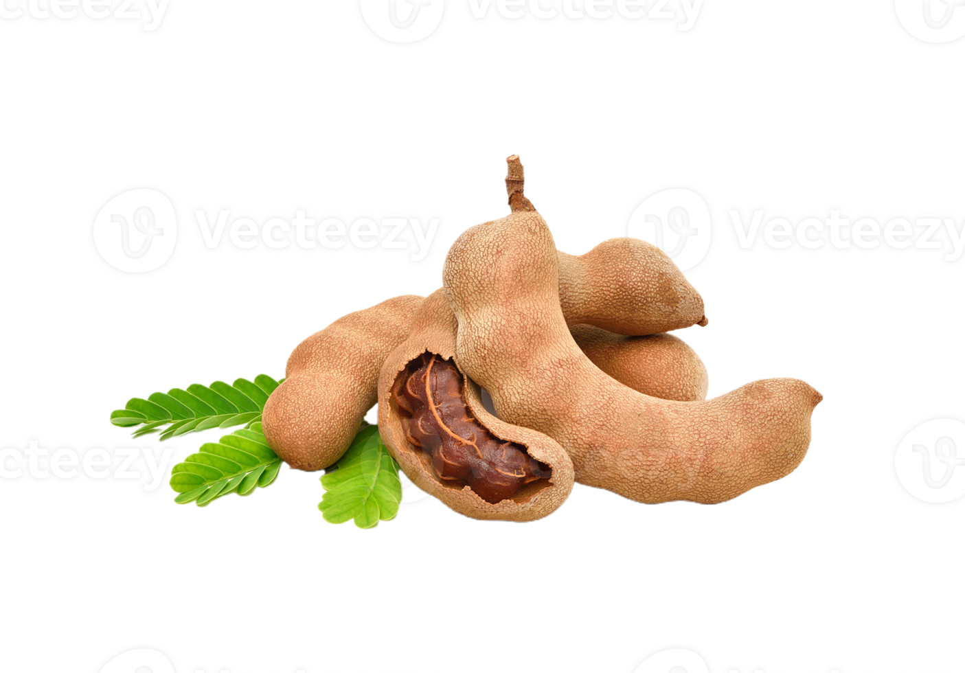 Tamarind png transparent background