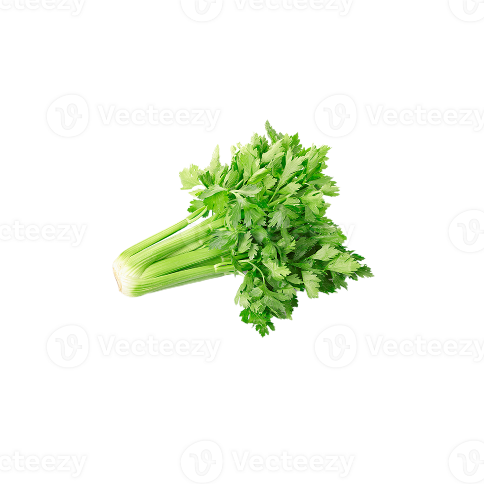 celery png transparent background 29712906 PNG