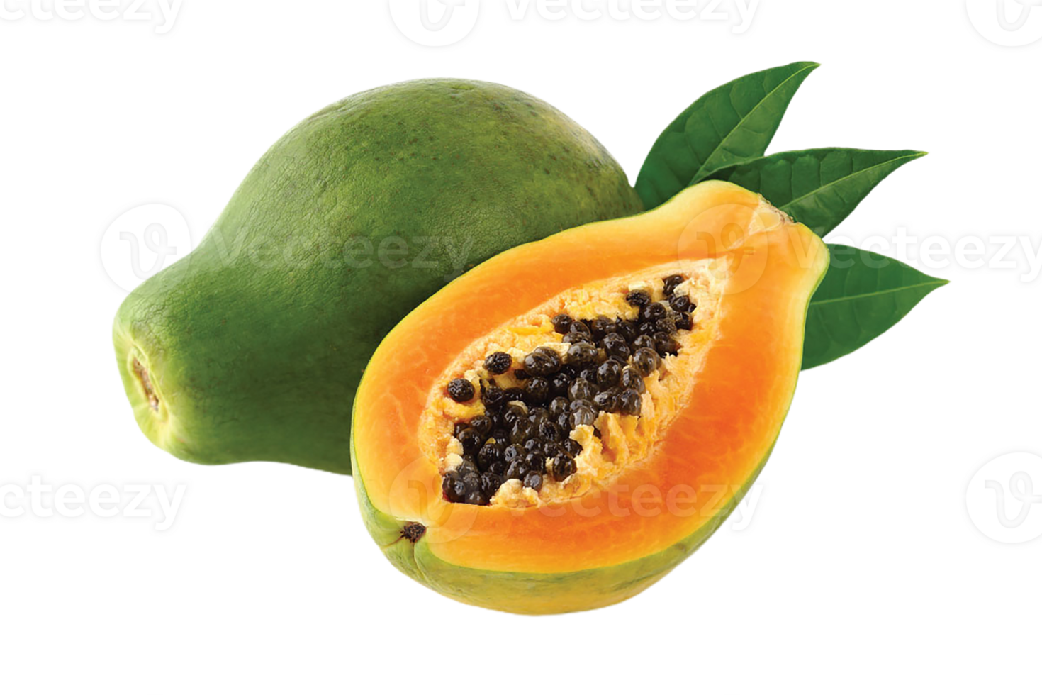 green papaya png transparent background 29713039 PNG