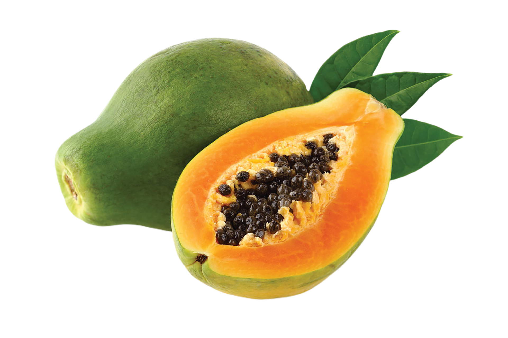 green papaya png transparent background 29713039 PNG
