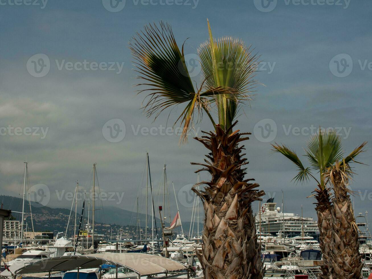 Monte Carlo in Monaco photo