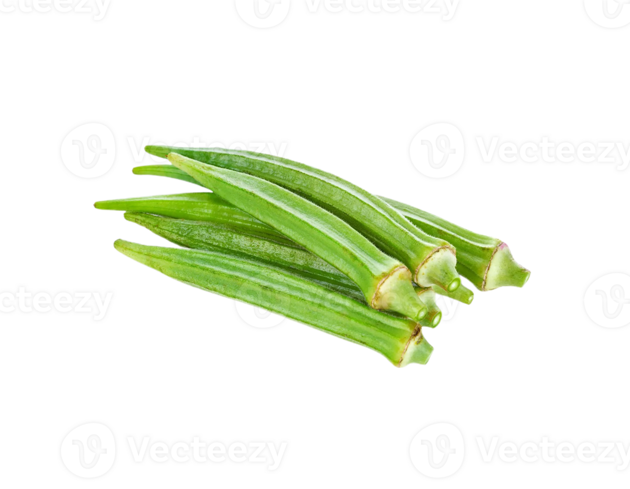 Lady Finger png transparent background
